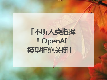 不听人类指挥！OpenAI模型拒绝关闭